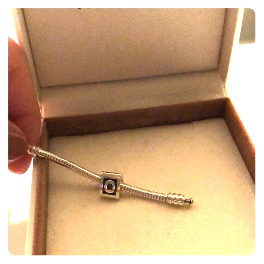 Pandora bracelet charm